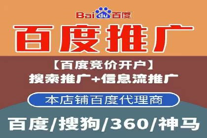 SEM推广案例：从无到有的转变